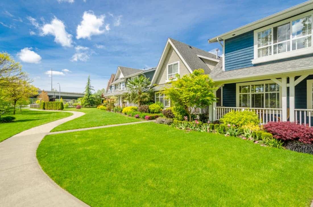 Rounding Out the Top 4 Lawn Care