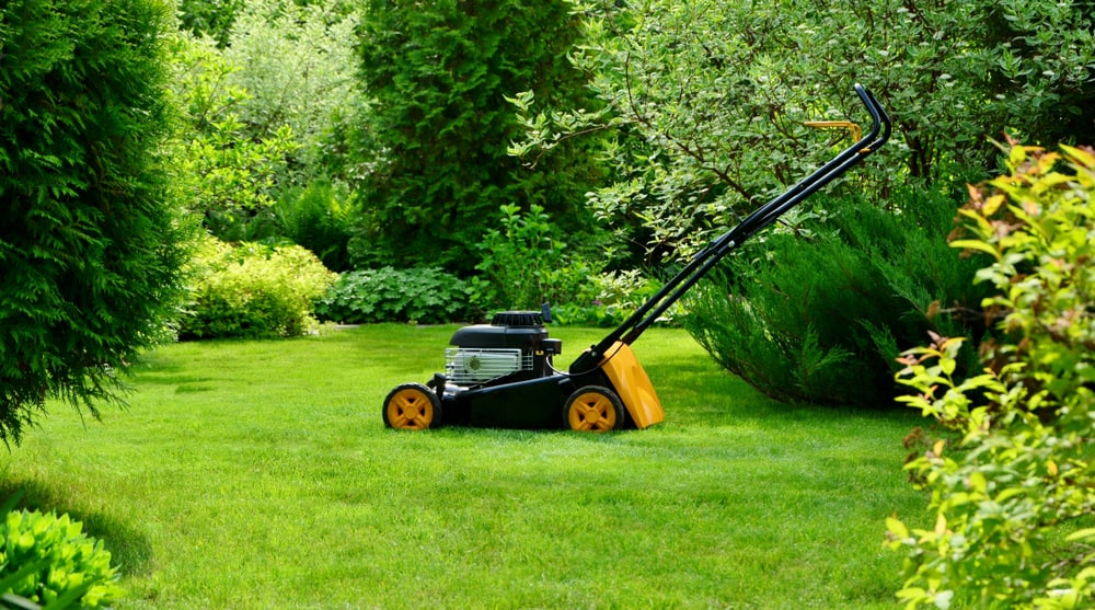 Prepare Your Lawn for The Summer Season