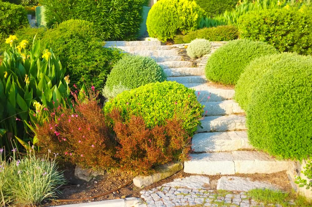 Upgrading Your Landscape